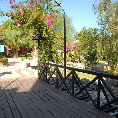 Aurum Exclusive Club فندق