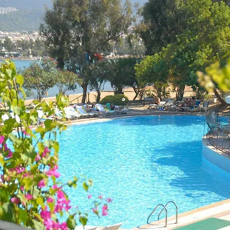 Aurum Exclusive Club 5* ديديم