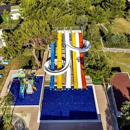 Aurum Exclusive Club ديديم