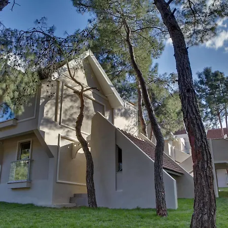 Aurum Exclusive Club ディディム